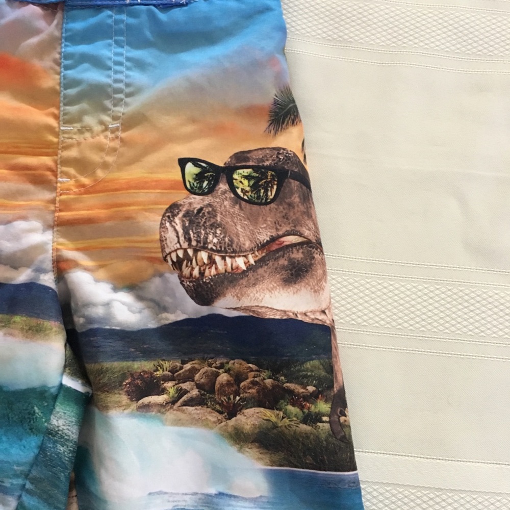 Boys Swim Trunks Shirts T-Rex Dinosaurs Sunglasses - Picture 3 of 6